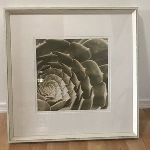 Trowbridge Art - Diana Verboom - Sepia Spa Leaves